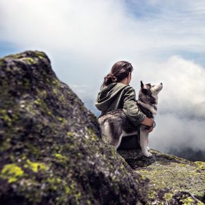 Service Dogs