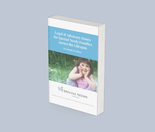 Special Needs Companies ebook